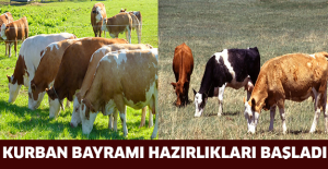 KURBAN BAYRAMI HAZIRLIKLARI BAŞLADI