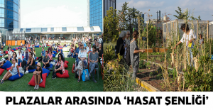 Plazalar arasında ‘Hasat Şenliği’