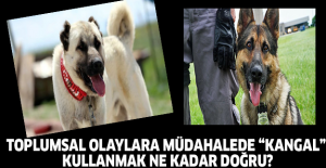 Toplumsal Olaylara Müdahalede “Kangal” Kullanmak Ne Kadar Doğru?
