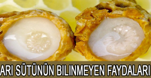 Arı sütünün bilinmeyen faydaları