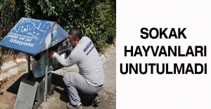 SOKAK HAYVANLARI UNUTULMADI