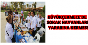 Büyükçekmece’de sokak hayvanları yararına kermes!