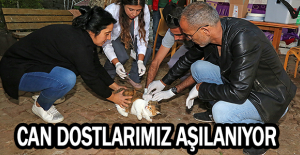 CAN DOSTLARIMIZ AŞILANIYOR