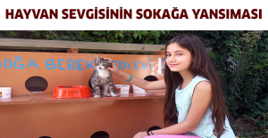 Hayvan sevgisinin sokağa yansıması