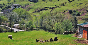 Çanakkale, Perşembe (Ordu) ve Şile (İstanbul) Gelecek  Turizmde dedi!