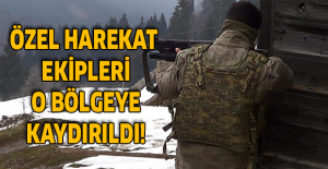 Özel harekat ekipleri o bölgeye kaydırıldı!