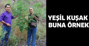YEŞİL KUŞAK BUNA ÖRNEK