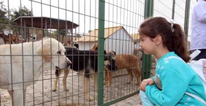 Yetişkinler Köpek, Küçükler Kedi Sahipleniyor