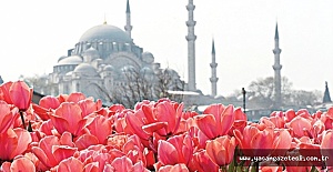 Laleler İstanbul'la buluşmaya Hazırlanıyor