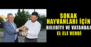 Sokak Hayvanları İçin Belediye Ve Vatandaş El Ele Verdi