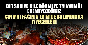 Bir Saniye Bile Görmeye Tahammül Edemeyeceğiniz Çin Mutfağının En Mide Bulandırıcı Yiyecekleri