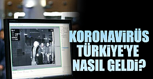 Koronavirüs Türkiye'ye Nasıl Geldi?