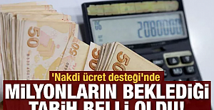 'Nakdi ücret desteği'nde milyonların beklediği ödeme tarihi belli oldu