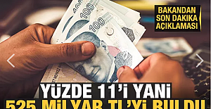 Bakan Albayrak: Yüzde 11'e yani 525 milyar TL'ye ulaştı