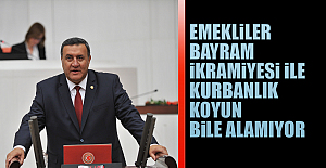 Emekliler, Bayram ikramiyesi ile kurbanlık koyun bile alamıyor