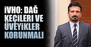 İVHO: Dağ keçileri ve üveyikler korunmalı