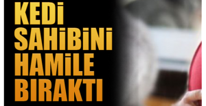 Talihsiz kadının istenmeyen gebeliğinin sorumlusu beslediği kedi çıktı