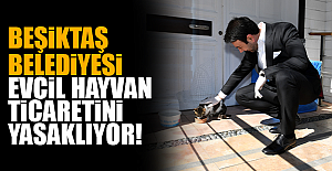 BEŞİKTAŞ BELEDİYESİ, EVCİL HAYVAN TİCARETİNİ YASAKLIYOR!