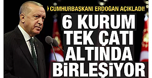 Cumhurbaşkanı Erdoğan: 6 kurum tek çatı altında birleşiyor