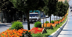 Sultangazi Belediyesi'nden Yeşil Alanlara Bakım
