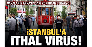 İstanbul'a ithal virüs! Vakaların arkasındaki korkutan senaryo