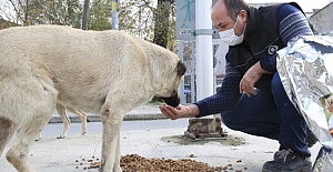 Sokak Hayvanlarına Destek