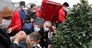 Gençler toprağı getirdi ağacı gaziler dikti