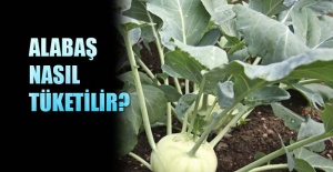 Alabaş nasıl tüketilir?