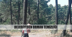 Belediyeden orman temizliği