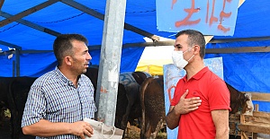 Esenyurt’da ‘Kurban Yakalama Timi’ iş başında