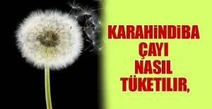 Karahindiba Çayı Nasıl Tüketilir,