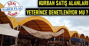 Kurban satış alanları yeterince denetliyor mu?