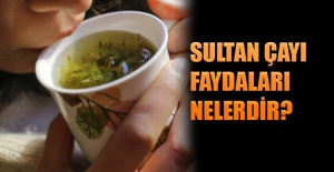 Sultan çayı faydaları nelerdir?