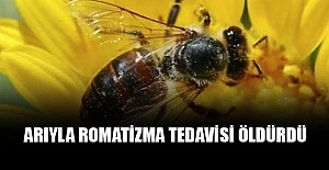 Arıyla romatizma tedavisi öldürdü