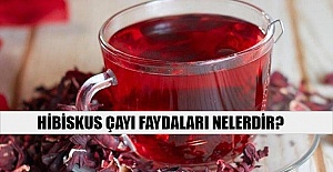 Hibiskus çayı faydaları nelerdir?