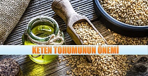 Keten tohumunu önemsiz sanmayın