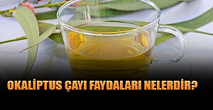 Okaliptus çayın faydaları