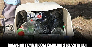 Ormanda temizlik çalışmaları sıklaştırıldı