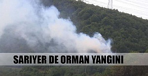 Sarıyer'de orman yangını!