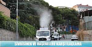 Sivrisinek ve Haşerelere Karşı İlaçlama
