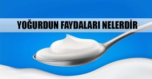 Yoğurdun faydaları nelerdir