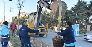 Kent ağaçlandırma çalışmaları devam ediyor