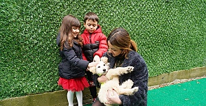 Çocukların okulu Foks köpeğe yuva oldu
