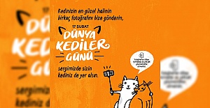 Miniklerden sevimli dostlarımız kedilere özel sergi