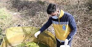 Eyüpsultan’da haşerelere karşı ilaçlamalar devam ediyor