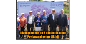 Büyükçekmece’de 5 dönümlük alana Pavlonya ağaçları dikildi