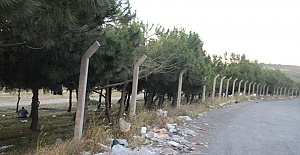 DOĞA DÜŞMANI İNSANLAR HAYVANLAŞMIŞ