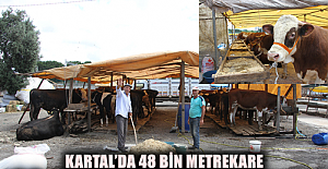 Kartal’da 48 Bin Metrekare Büyüklüğünde Kurban Satış Pazarı Kuruldu.