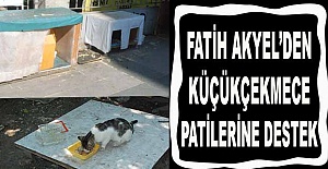 FATİH AKYEL’DEN KÜÇÜKÇEKMECE PATİLERİNE DESTEK
