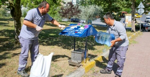 KÜÇÜKÇEKMECE BELEDİYESİ YAZ GÜNLERİNDE SOKAK CANLARINI UNUTMUYOR